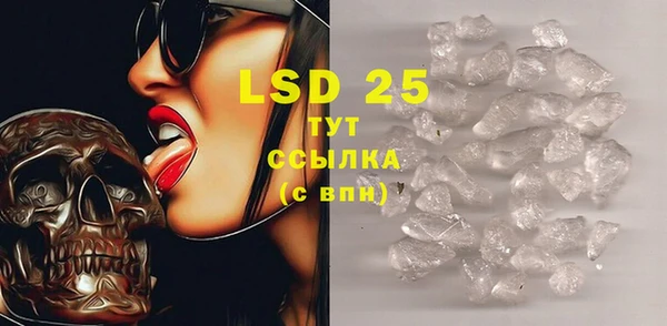 индика Нефтекумск