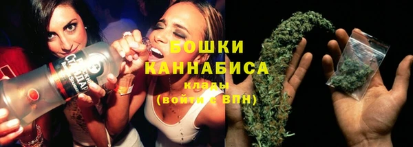 прущие грибы Баксан