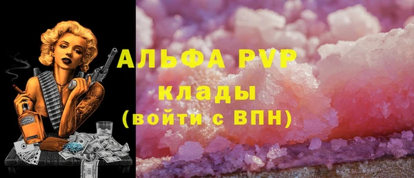 прущие грибы Баксан